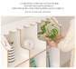모모 북쉘프 Momo Book Shelf