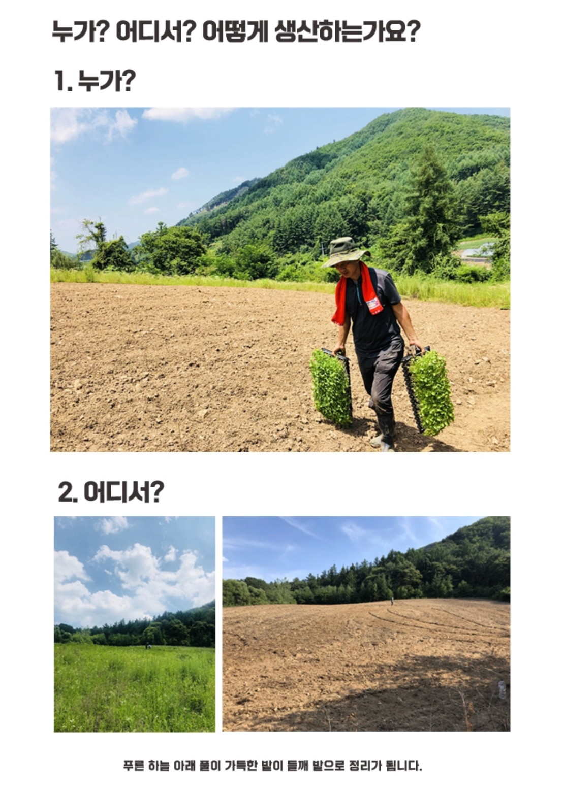 홍천 생 들기름