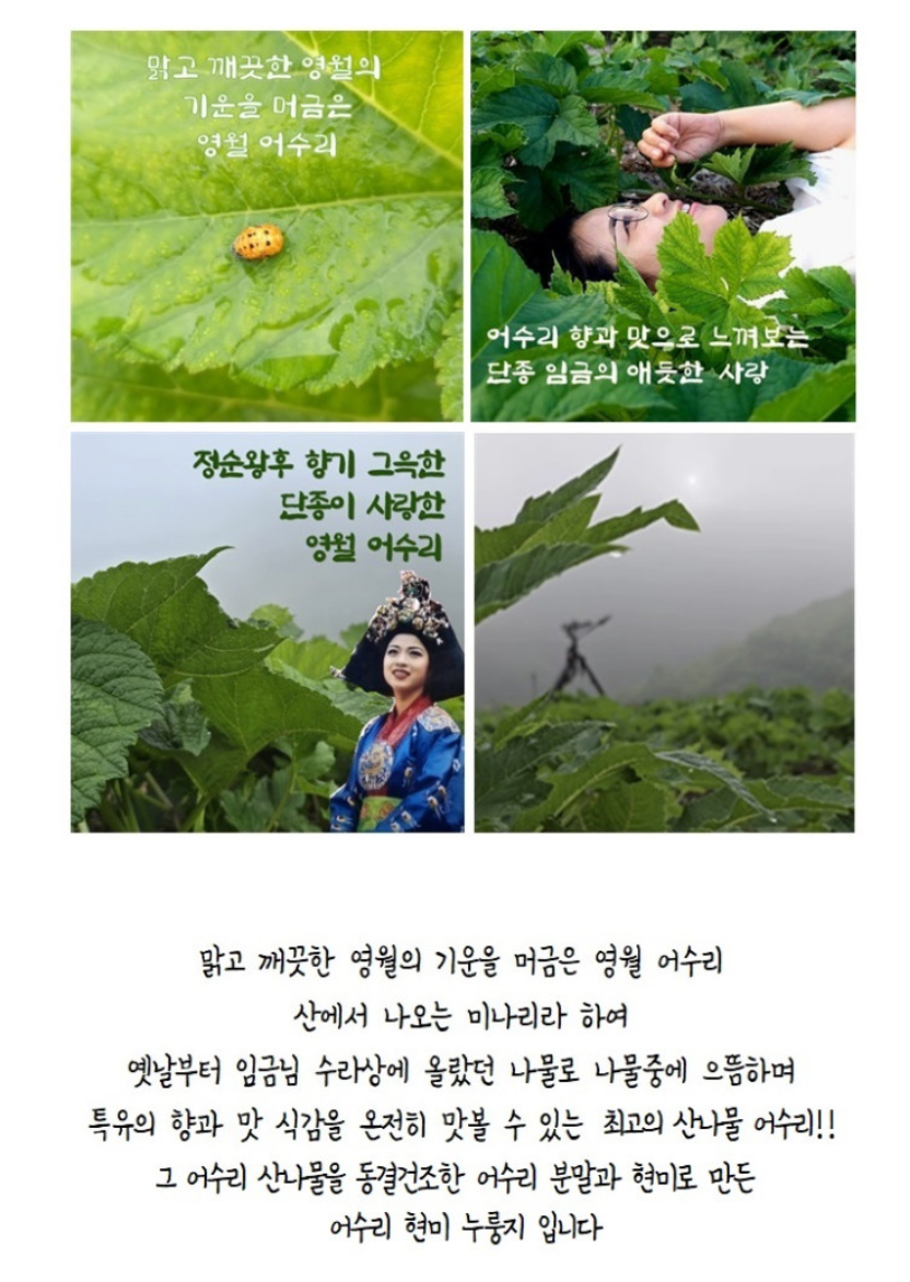 어수리 현미 누룽지