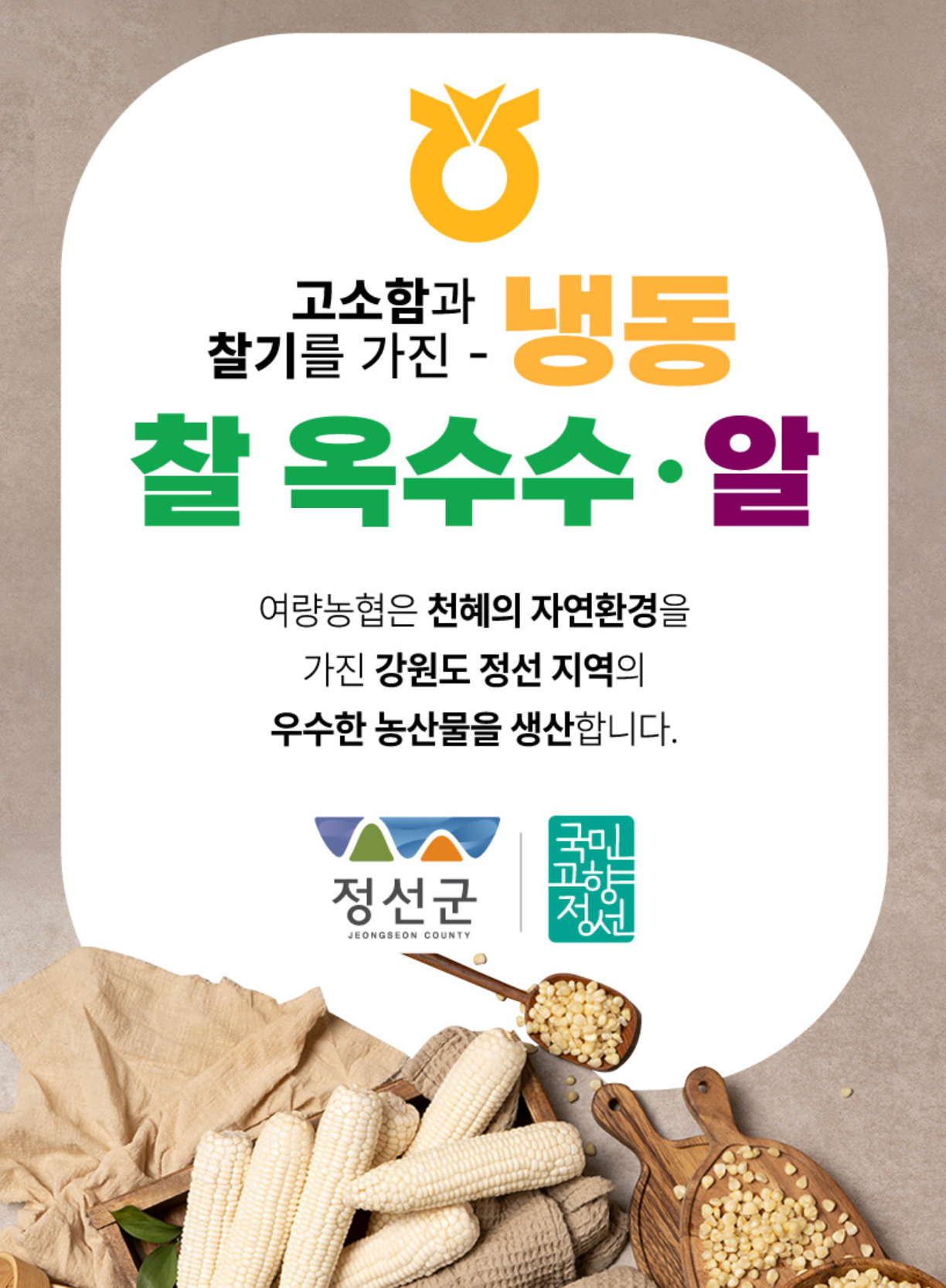 강원도 찰 옥수수
