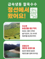 강원도 찰 옥수수