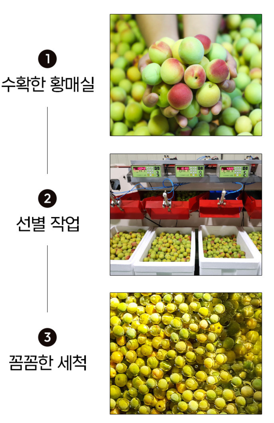 하동 황매실액