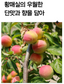 하동 황매실액